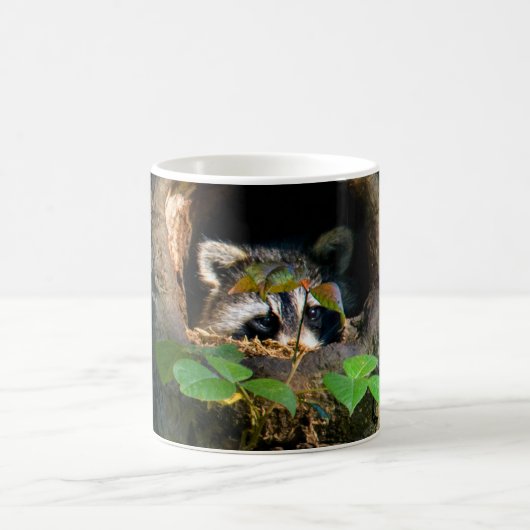 Forces | Raccoon Peeking Koffiemok (Center)