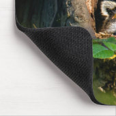 Forces | Raccoon Peeking Muismat (Hoek)