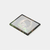 Forces | Raccoon Peeking Post-it® Notes (Schuin)