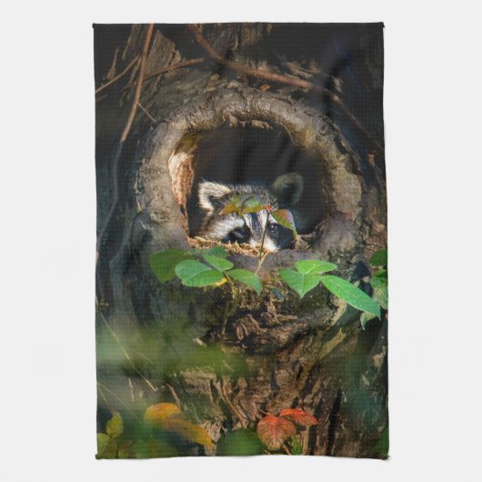 Forces | Raccoon Peeking Theedoek (Verticaal)