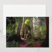 Forces | Redwood Forest California Bedankkaart (Voorkant / Achterkant)
