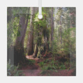 Forces | Redwood Forest California Glas Ornament (Voorkant)