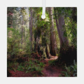Forces | Redwood Forest California Glas Ornament (Achterkant)