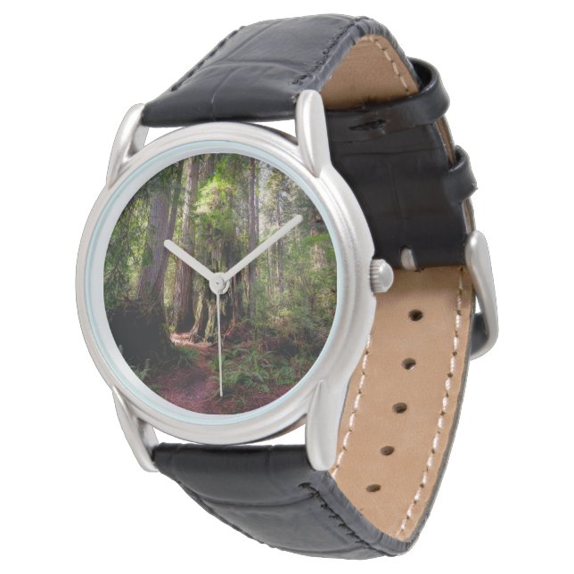 Forces | Redwood Forest California Horloge (Gekanteld)