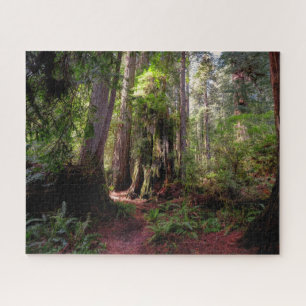 Forces   Redwood Forest California Legpuzzel