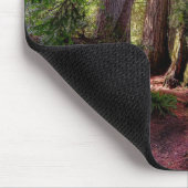 Forces | Redwood Forest California Muismat (Hoek)