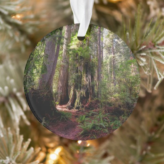 Forces | Redwood Forest California Ornament (Boom)