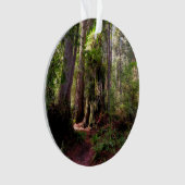 Forces | Redwood Forest California Ornament (voorkant)