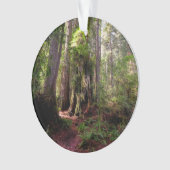 Forces | Redwood Forest California Ornament (voorkant)