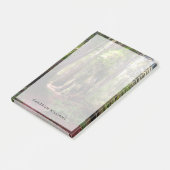 Forces | Redwood Forest California Post-it® Notes (Schuin)
