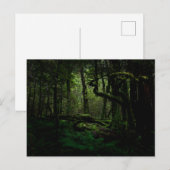 Forces Routeburn Track Fiordland National Park Briefkaart (Voorkant / Achterkant)