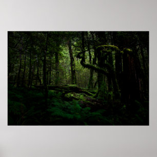 Forces Routeburn Track Fiordland National Park Poster
