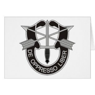 Forces spéciales SF De Oppresso Liber