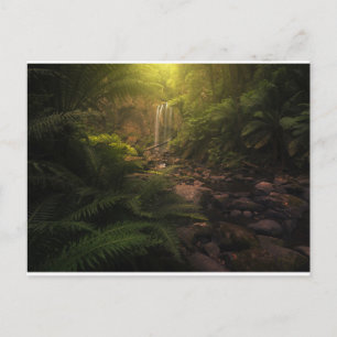 Forces Sunlight Highlights Waterfall Briefkaart