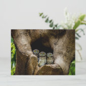 Forces | Three Owls Looking Bedankkaart (Staand voorkant)