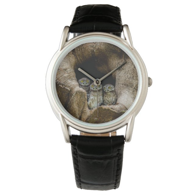 Forces | Three Owls Looking Horloge (Voorkant)