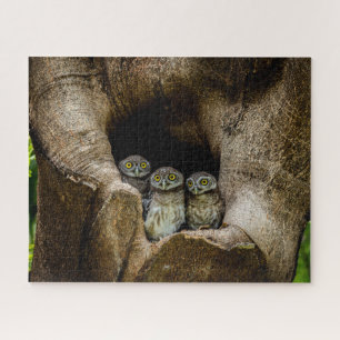 Forces   Three Owls Looking Legpuzzel