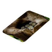 Forces | Three Owls Looking Magneet (Linkerzijde)