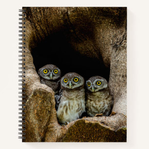 Forces   Three Owls Looking Notitieboek