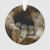 Forces | Three Owls Looking Ornament (voorkant)