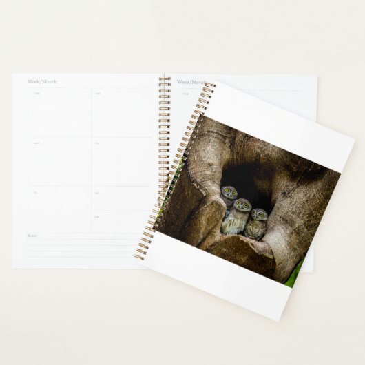 Forces | Three Owls Looking Planner (Display)