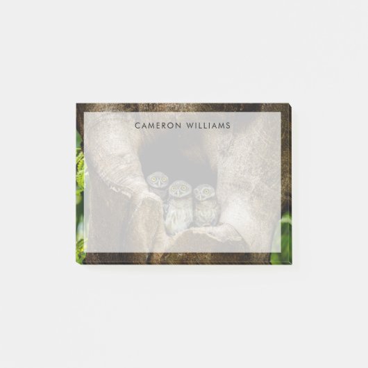 Forces | Three Owls Looking Post-it® Notes (Voorkant)