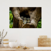 Forces | Three Owls Looking Poster (Keuken)