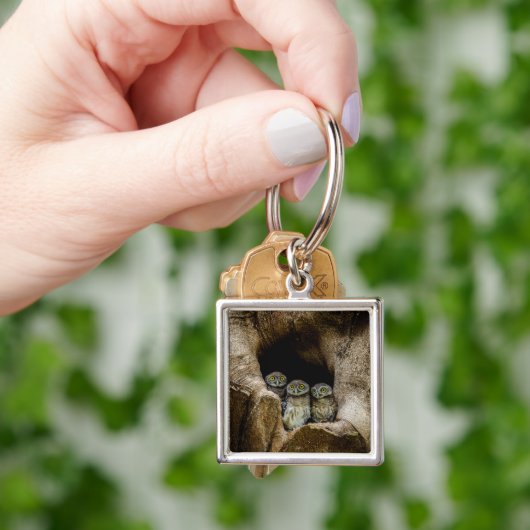 Forces | Three Owls Looking Sleutelhanger (Hand)