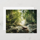 Forces | Tropical Jungle Forest Briefkaart (Voorkant / Achterkant)