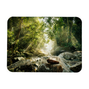 Forces   Tropical Jungle Forest Magneet