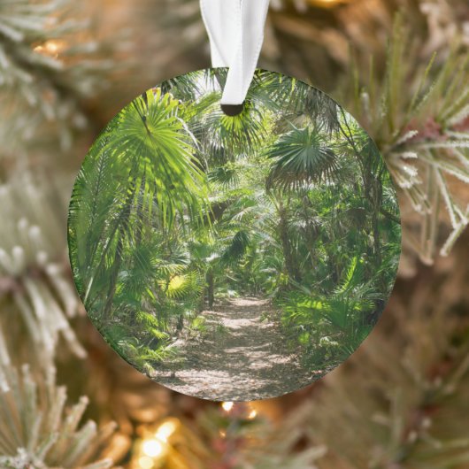 Forces Tropical Rainforest Tulum Mexico Ornament (Boom)