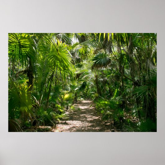 Forces Tropical Rainforest Tulum Mexico Poster (Voorkant)