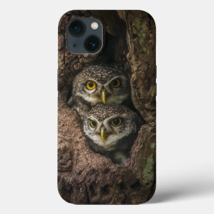 Forces Two Owls Looking iPhone 13 Hoesje