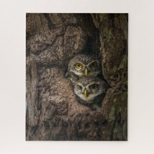 Forces Two Owls Looking Legpuzzel