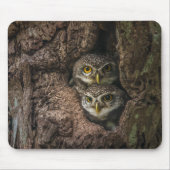 Forces Two Owls Looking Muismat (Voorkant)