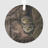 Forces Two Owls Looking Ornament (achterkant)