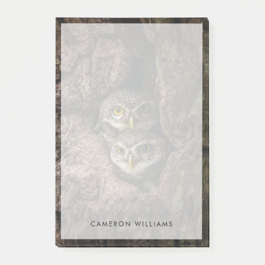 Forces Two Owls Looking Post-it® Notes (Voorkant)