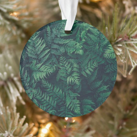 Forces | Woodland Ferns Ornament (Boom)