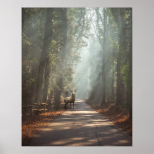 Forces Woodland Stag Poster