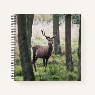 Forces Woodlands & Red Deer Notitieboek