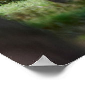 Forces Woodlands & Red Deer Poster (Hoek)