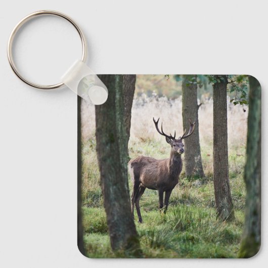 Forces Woodlands & Red Deer Sleutelhanger (Voorkant)