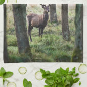 Forces Woodlands & Red Deer Theedoek (Gevouwen)