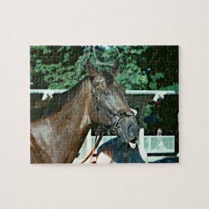 Forego Racehorse 1977 Legpuzzel