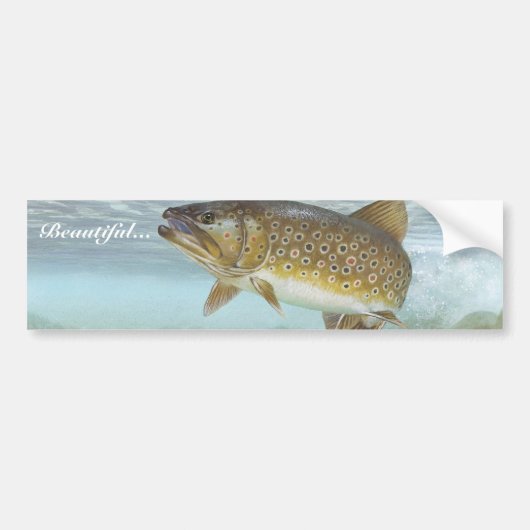 forel, brook bumpersticker (Voorkant)