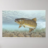 forel, brook