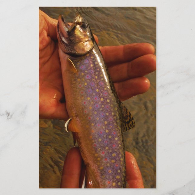 forel in handen (Voorkant)
