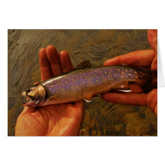forel in handen