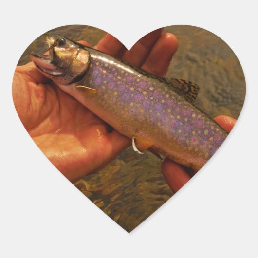 forel in handen hart sticker (Voorkant)
