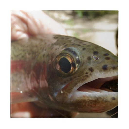 forel in handen tegeltje (Voorkant)